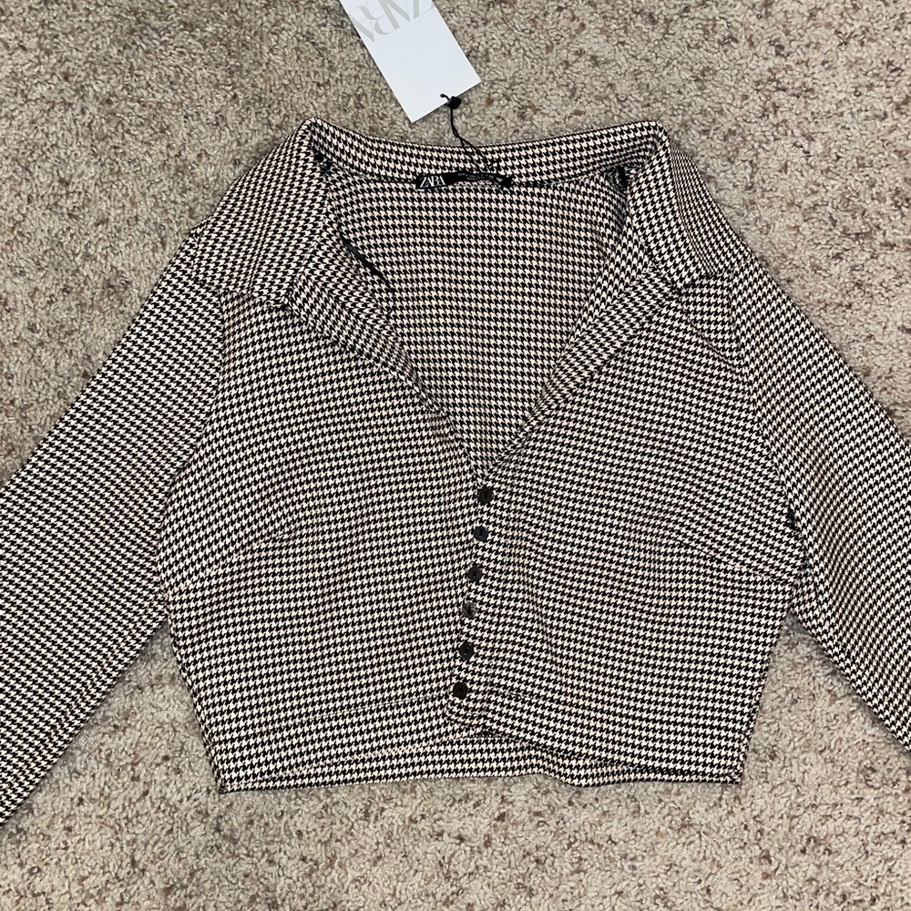 Zara long sleeve crop top